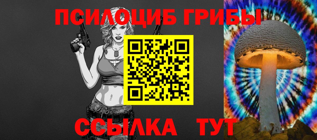 Галлюциногенные грибы мицелий  Вход с VPN  Мончегорск  Галлюциногенные грибы Psilocybine cubensis 